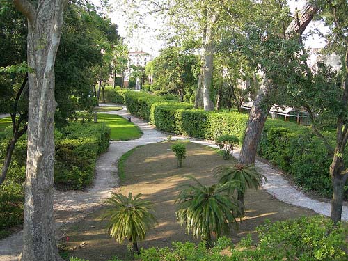 Vista su un viale del giardino adornato di alberi di varie specie e cespugli